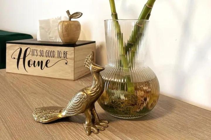 Peacock Studio Navodari Luaran gambar
